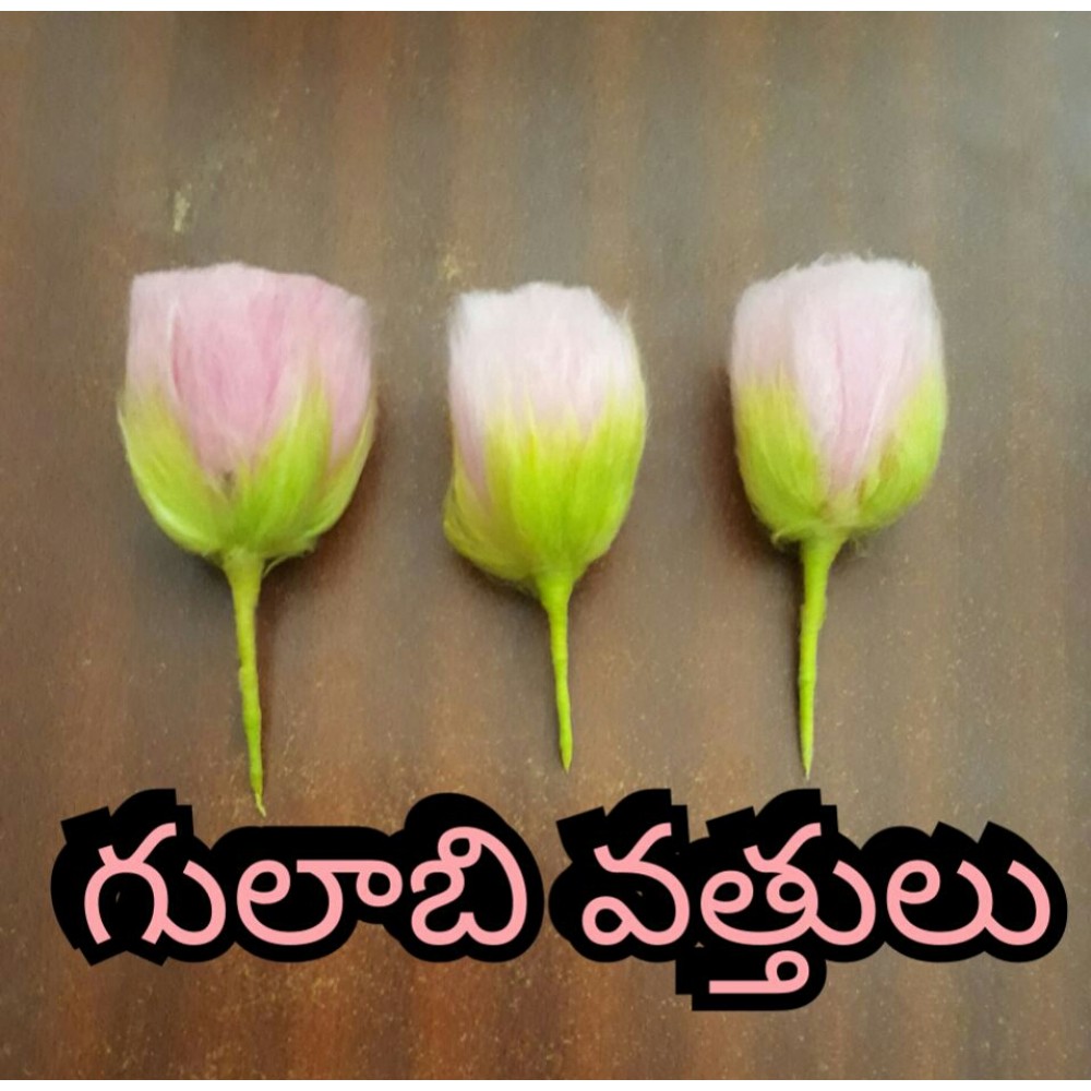 Gulabi Vattulu (1 PC) Gulabi Vattulu (1 PC)